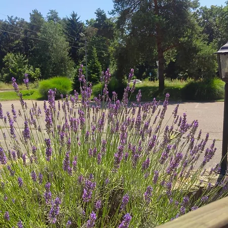 Wow Sleeping Miklavz na Dravskem Polju