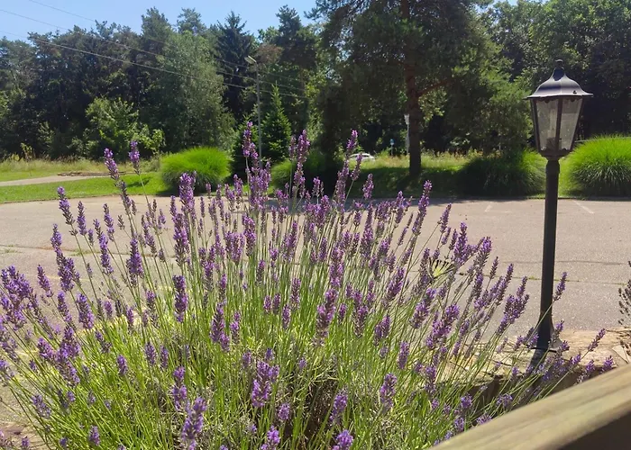 Wow Sleeping Miklavž na Dravskem Polju